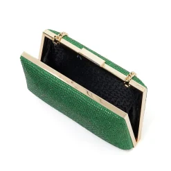 Dune London BELLAIRE - GREEN- Clutch Bags
